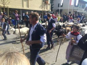 La désalpe... not just for cows anymore