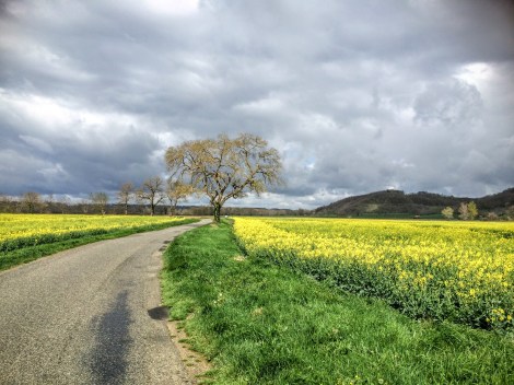 Driving around the Pays Cathare (a.k.a. Languedoc-Roussillon)