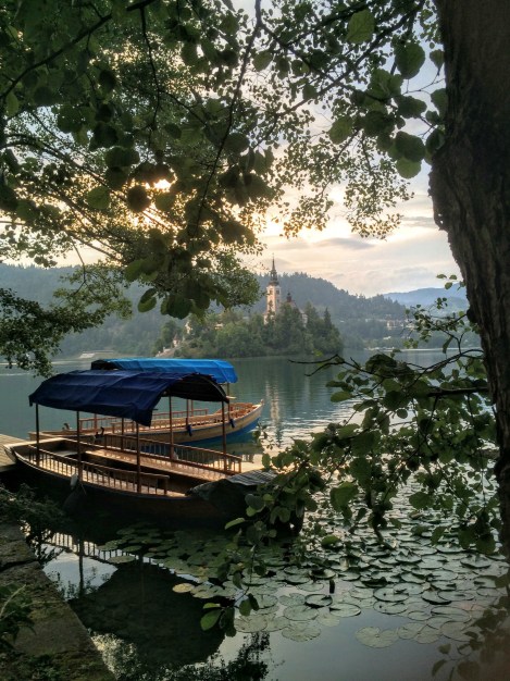Lovely Lake Bled